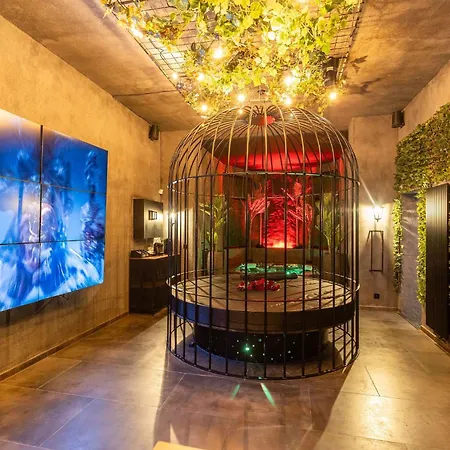 Intense Senses Experience Manage